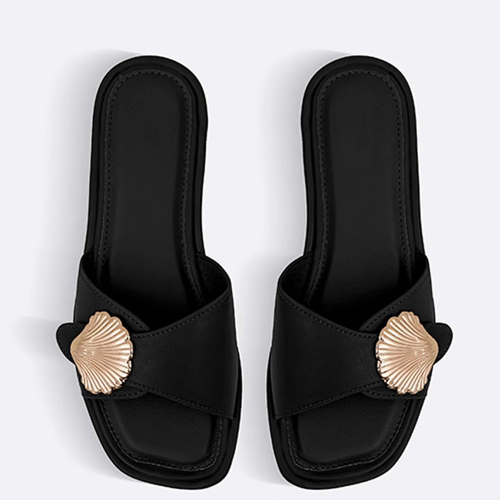 Seashell Slides