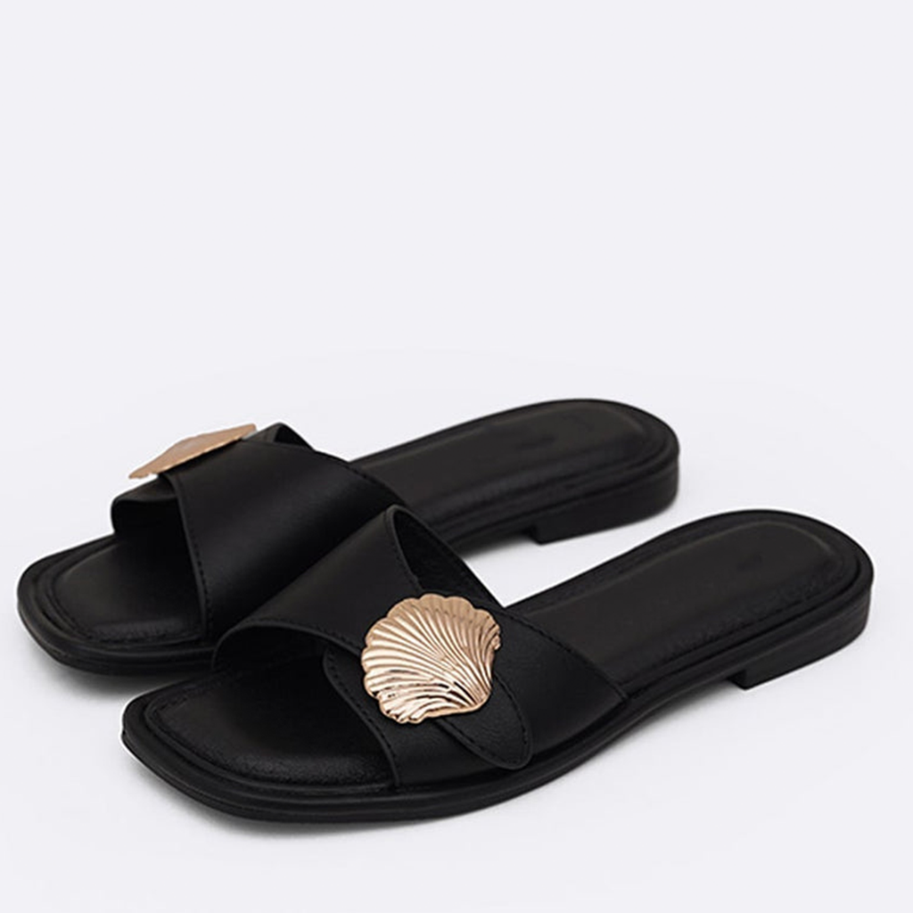 Seashell Slides