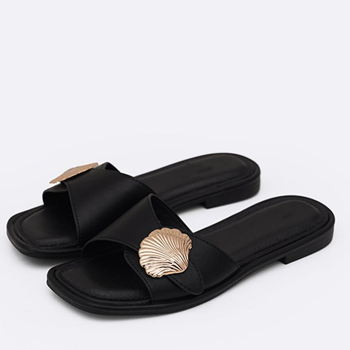 Seashell Slides
